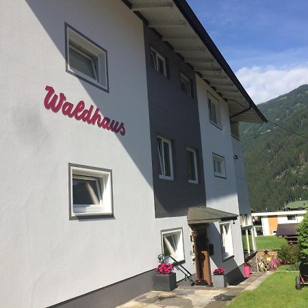 Apartamento Waldhaus Lechner Steinerkogel Mayrhofen Exterior foto